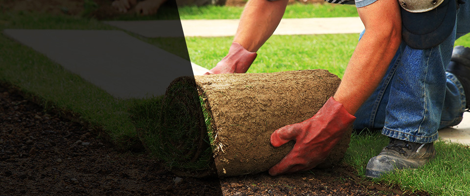 Polk City Landscapers